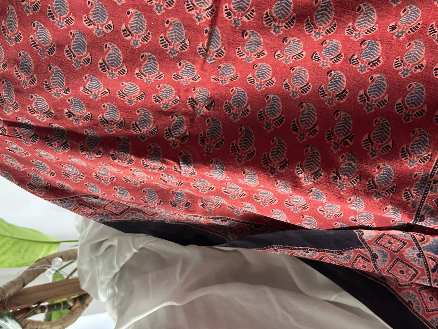 Kairi & Mirchi Ajrakh Cotton Mul Saree